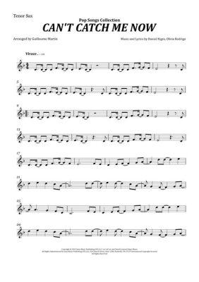 Can't Catch Me Now Violin Sheet Music: A Symphony of Chaos and Creativity