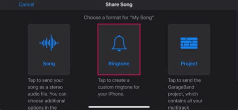 How to Set Ringtone on iPhone 12 from Music Library: A Comprehensive Guide